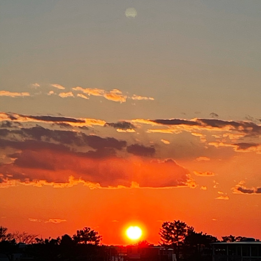 Meet your Posher, Kelli